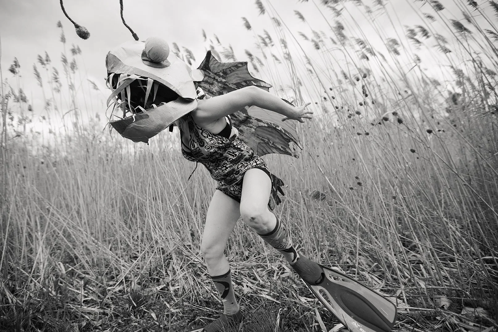 Artist Eva Lansberry