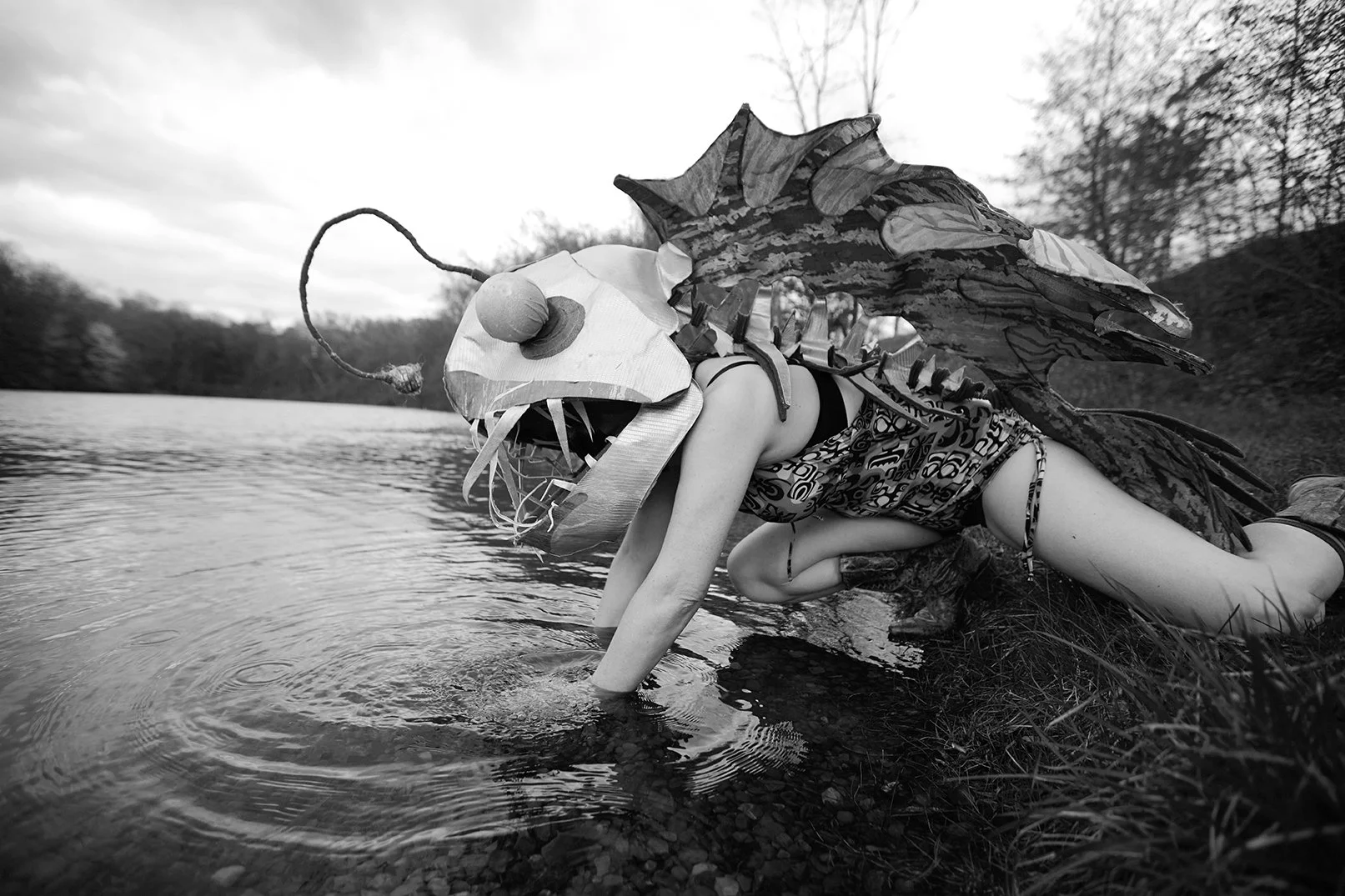 Artist, Eva Lansberry