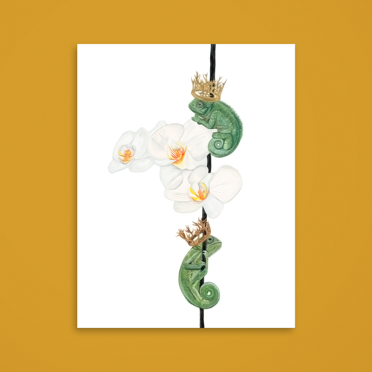 Chameleons and Orchid
