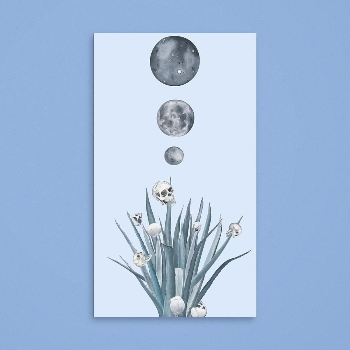 Agave Plant with Skulls