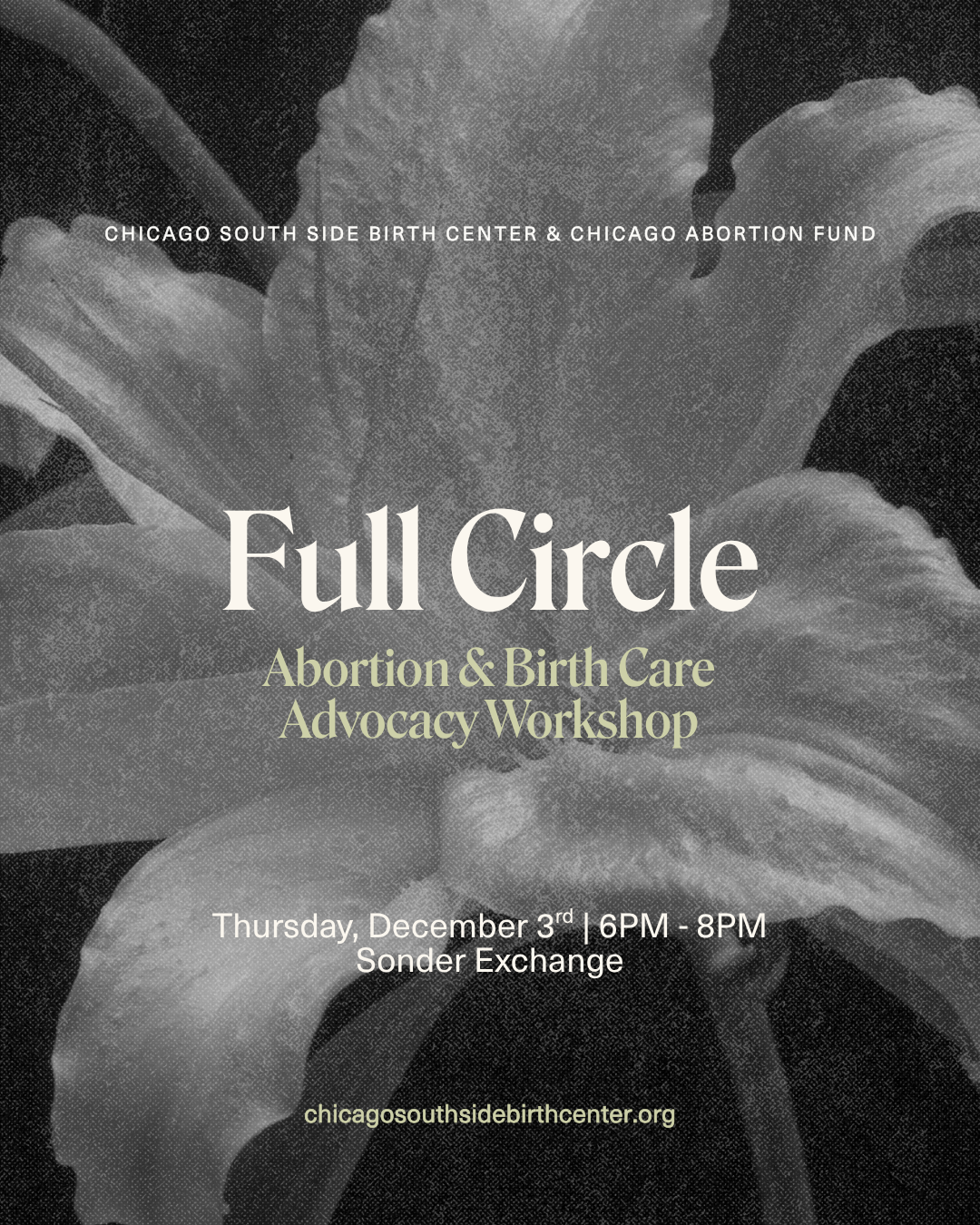 Full Circle: Abortion & Birth Care Advocacy Workshop