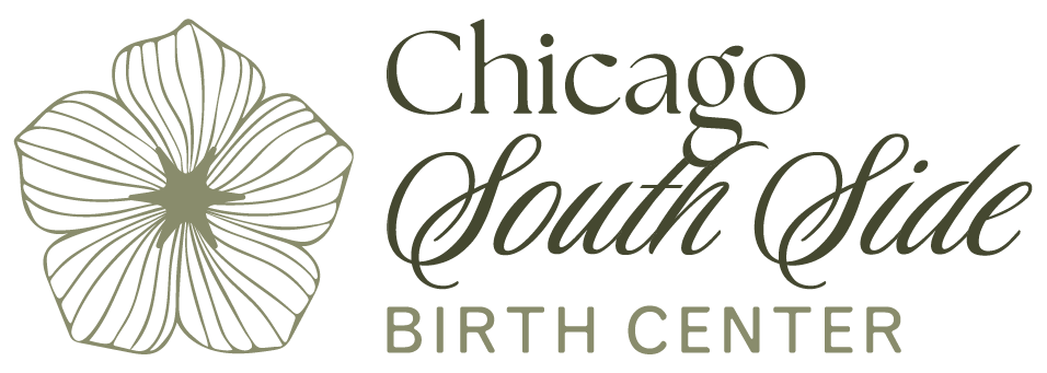 Chicago South Side Birth Center