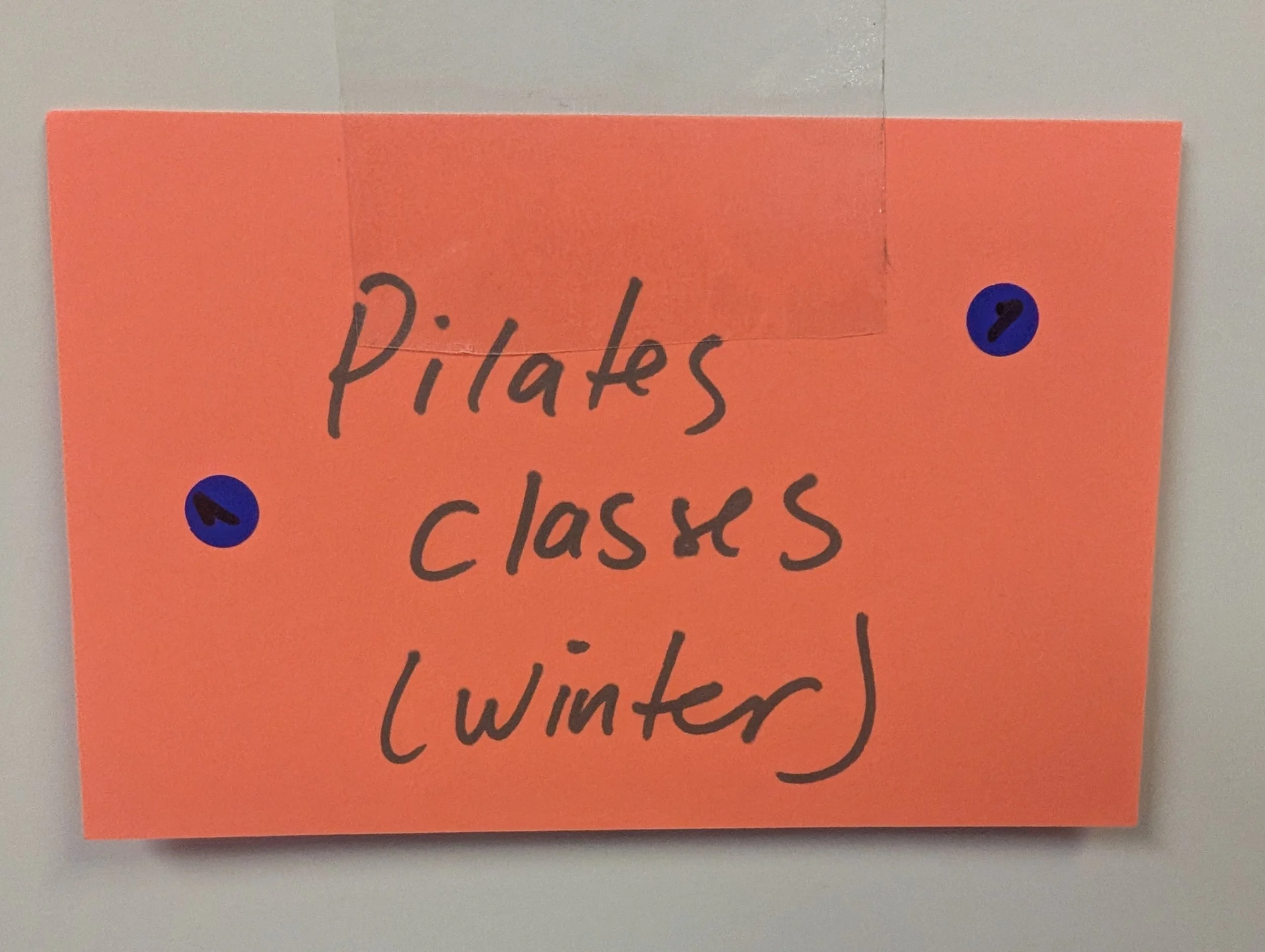 PXL_20260203_135551610.jpg