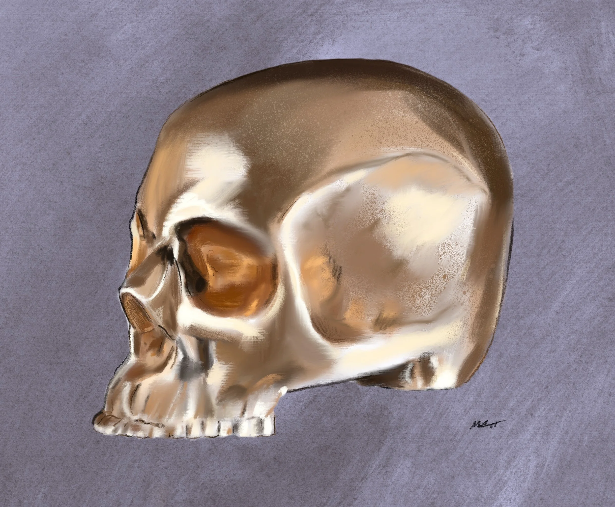 Digital Gold Skull Study