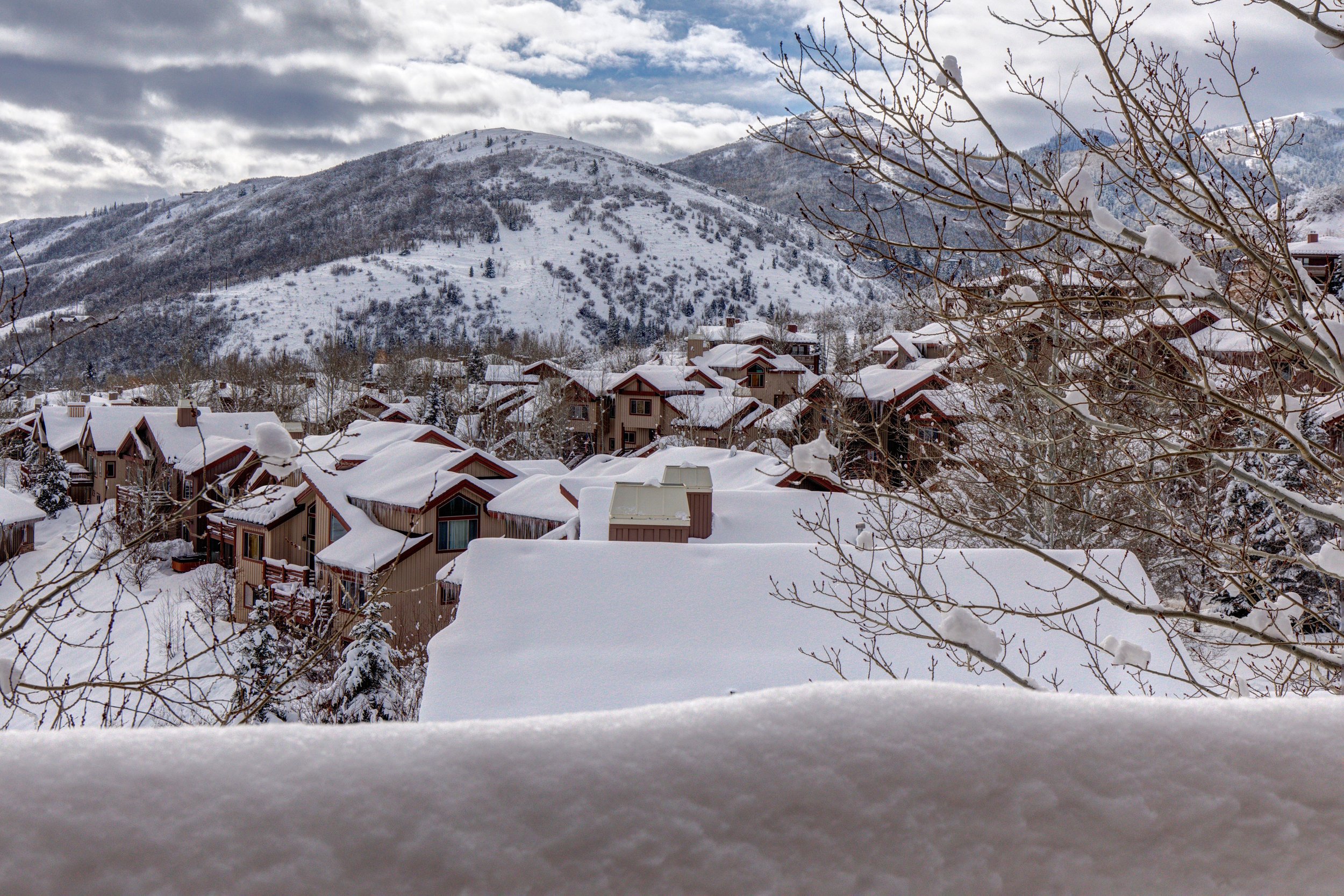 3427 W Cedar Drive_06.jpg