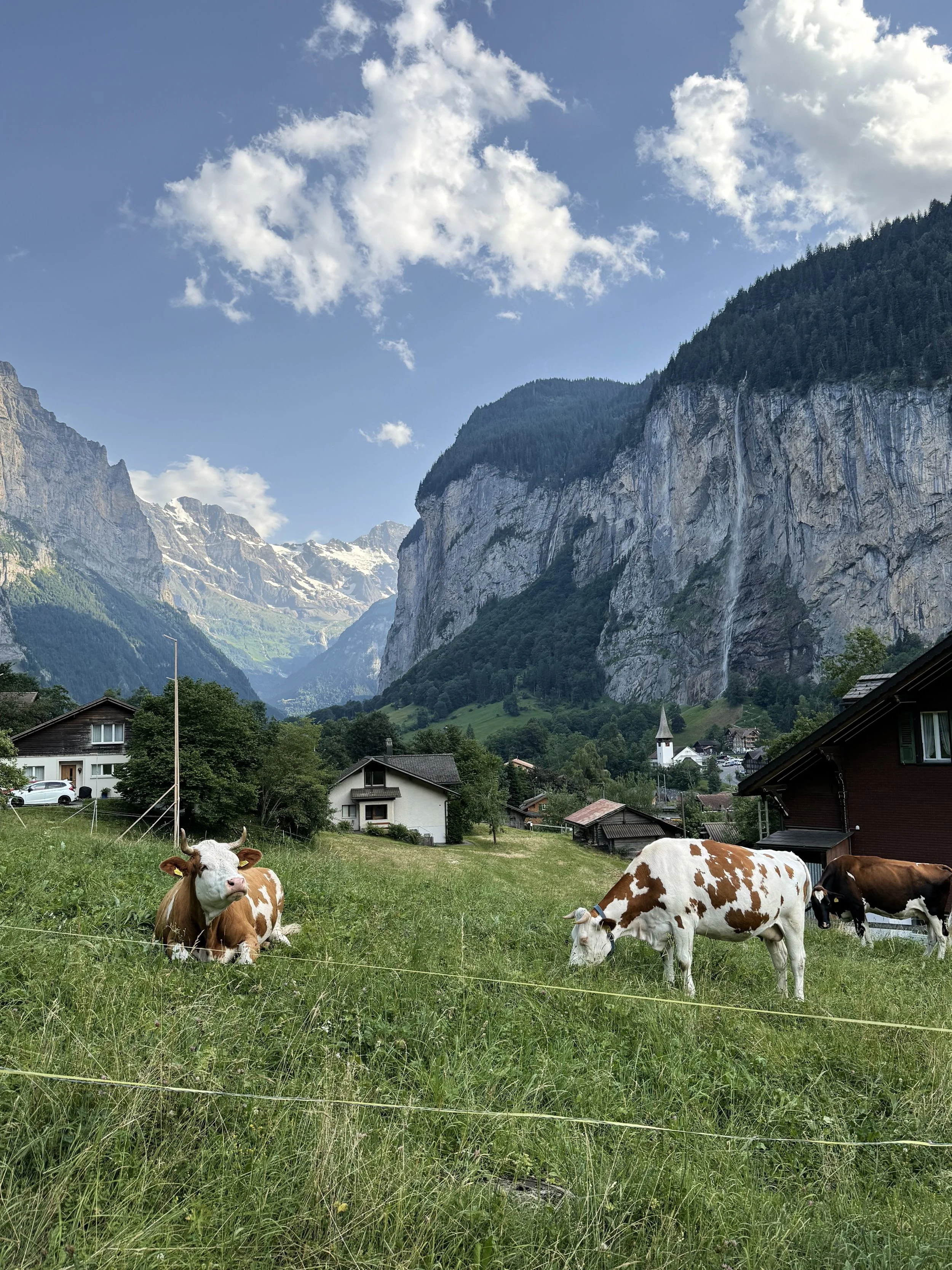 “Go or No:” 5 Popular Tourist Destinations in Switzerland