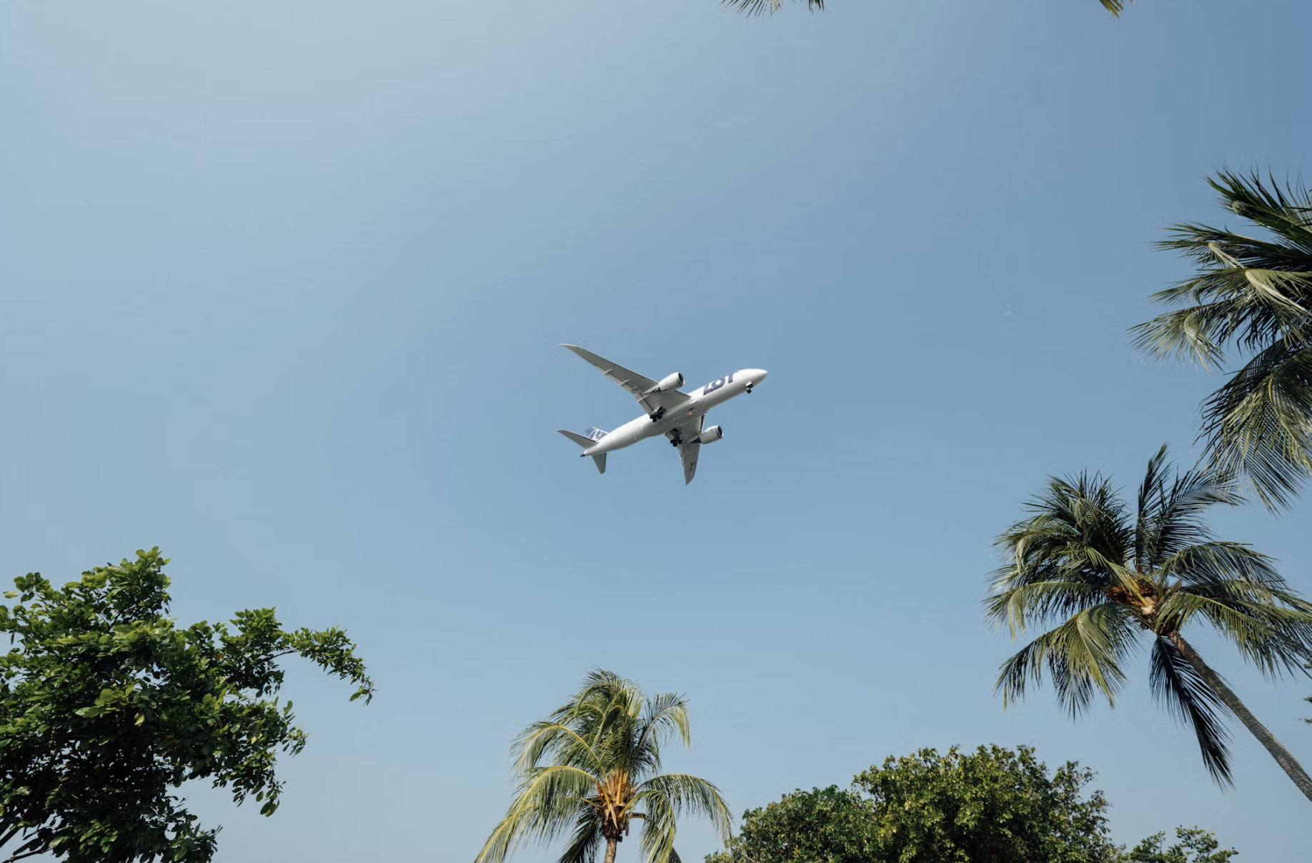 5 Tips for Surviving a Long-Haul Flight