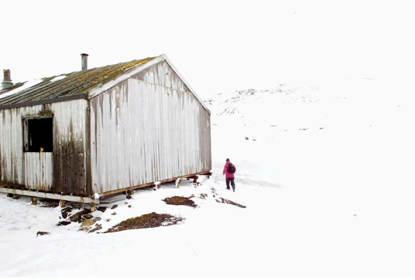 antarctica 5b.png