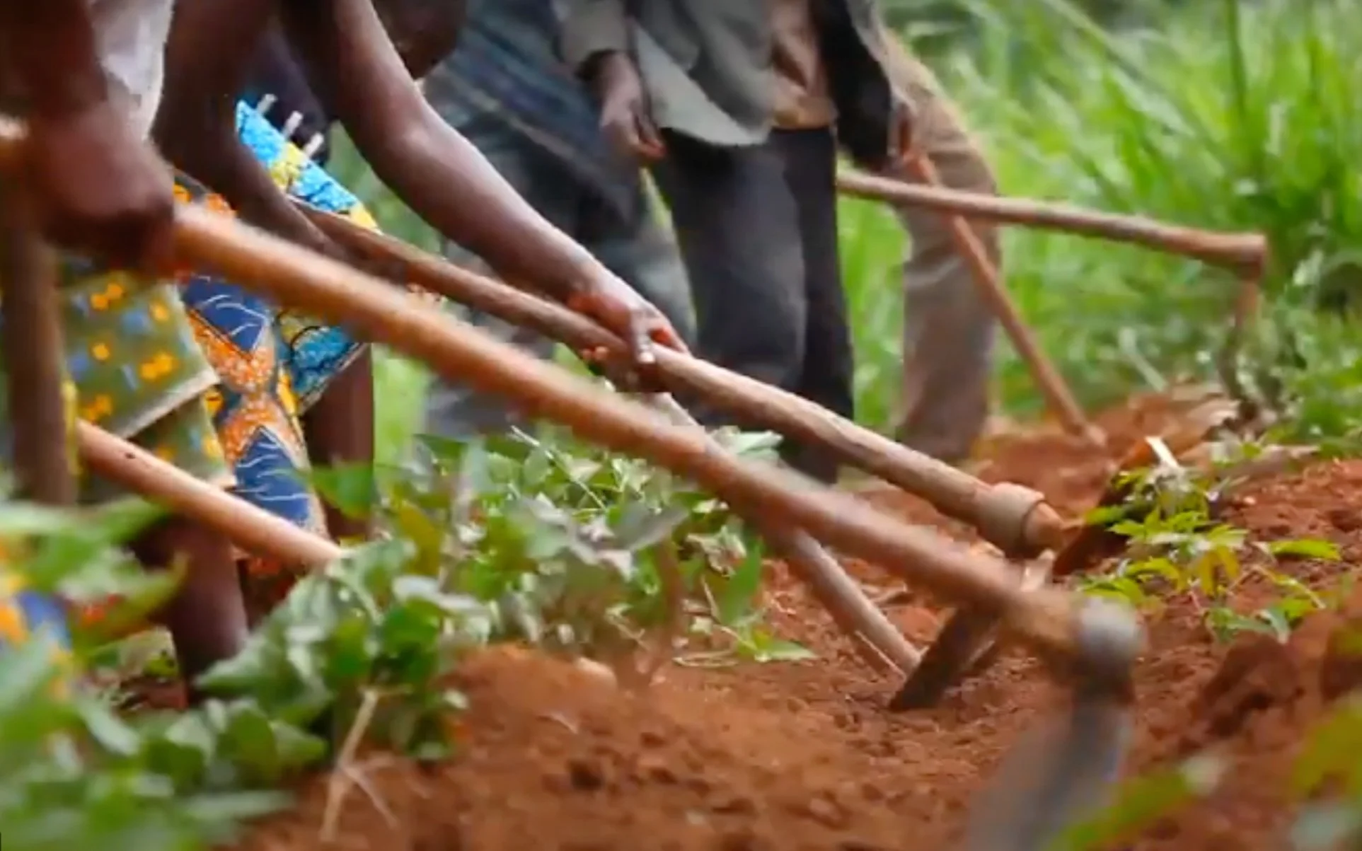 Mama Rwanda
