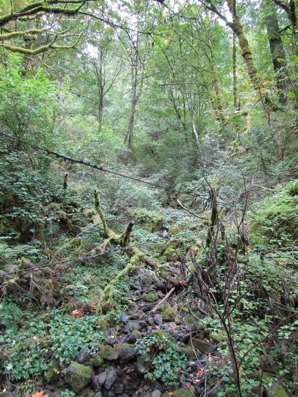 traveling alone is insanity 6.jpeg