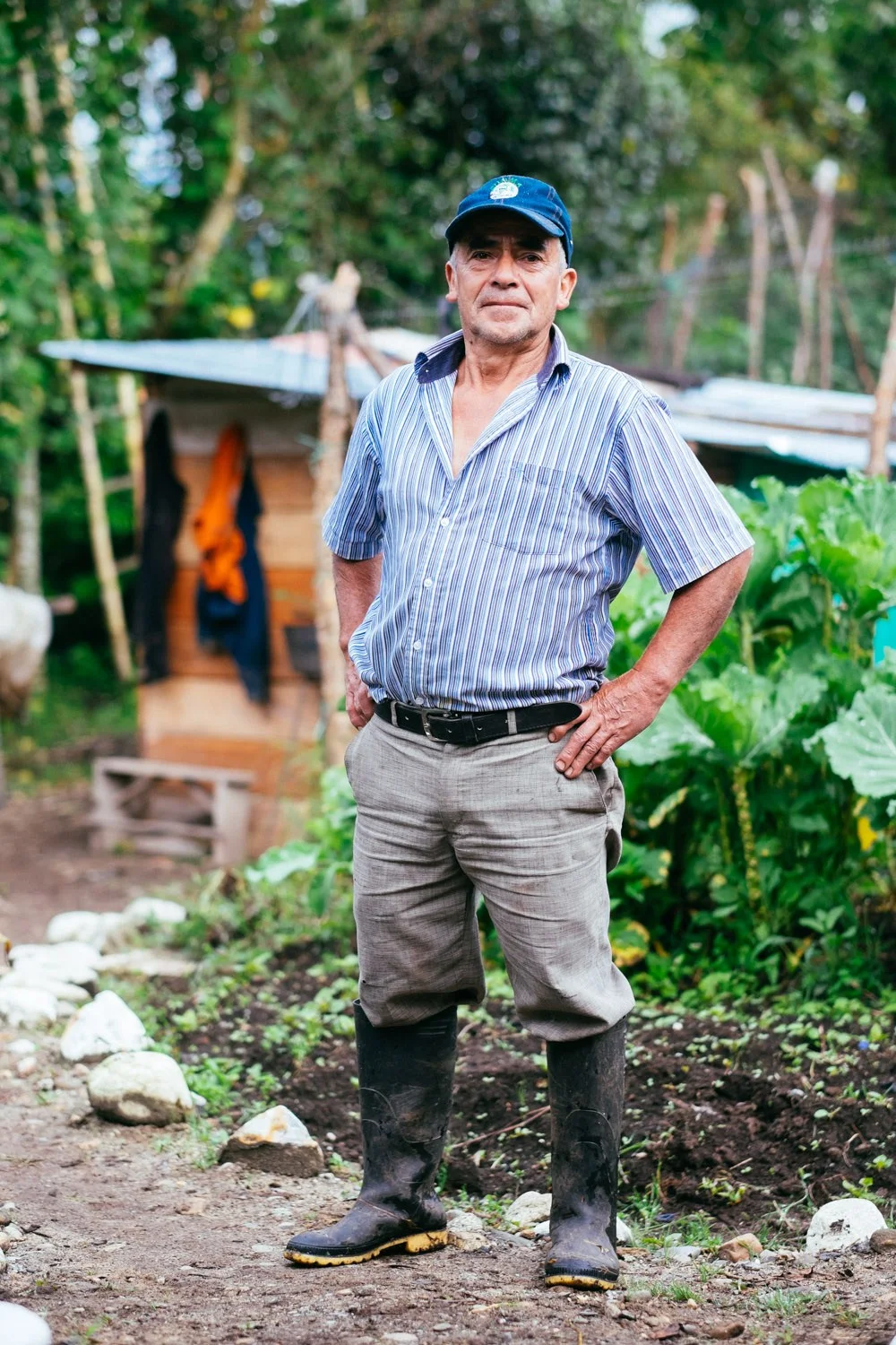 bogota 5.jpg