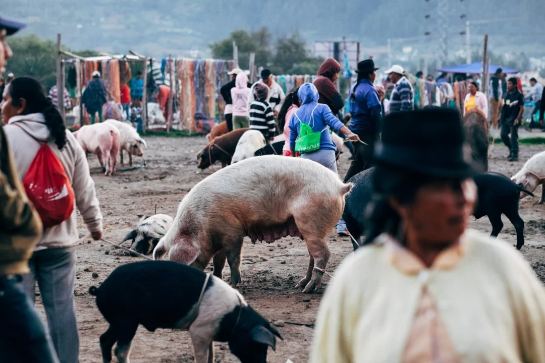 bogota 7.jpg