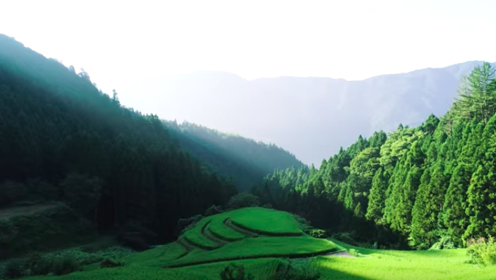 Japan’s Town With No Waste
