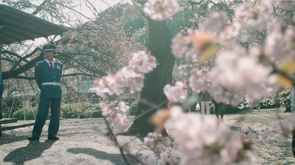 Bloom: Japan
