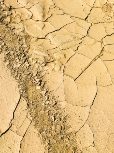 Dry Earth Cracking