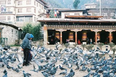 Children and Pigeons in Thimphu.jpg