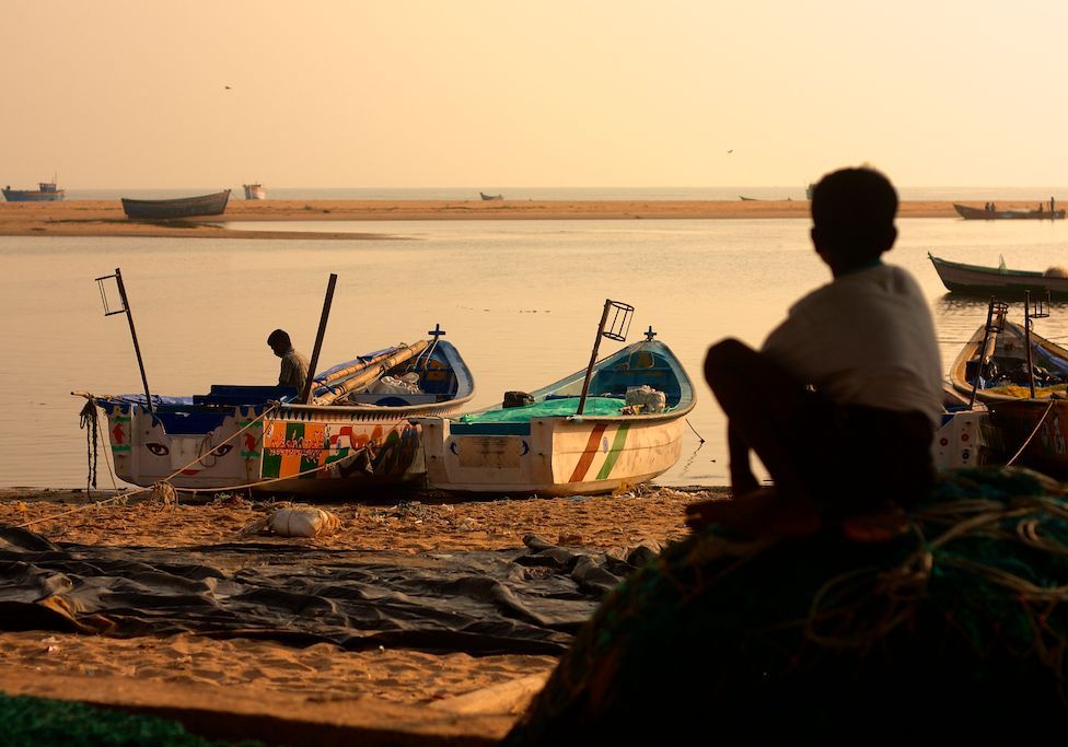  Young boy watches over early morning harbor scene… 