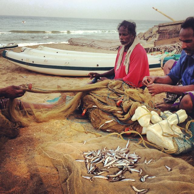  The local catches in Varkala were frighteningly insignificant. Most fishermen I spoke with said catches had been even lower than the last few years. With fish stocks plummeting worldwide, small fishing villages like this one will be the first and ha