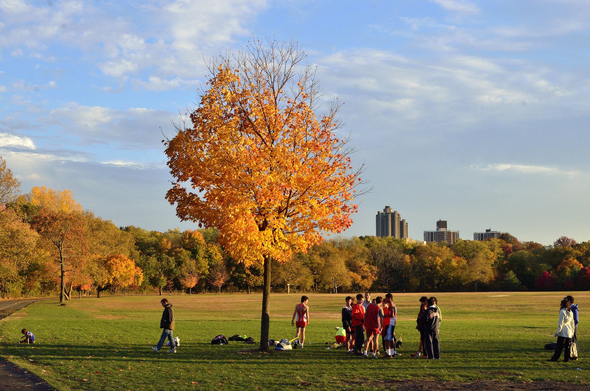 Van Cortlandt Park