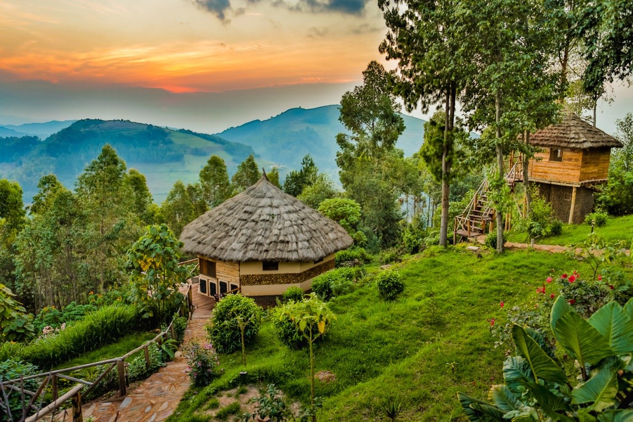 Eco Lodge Bwindi Impenetrable Forest2 Large.jpeg