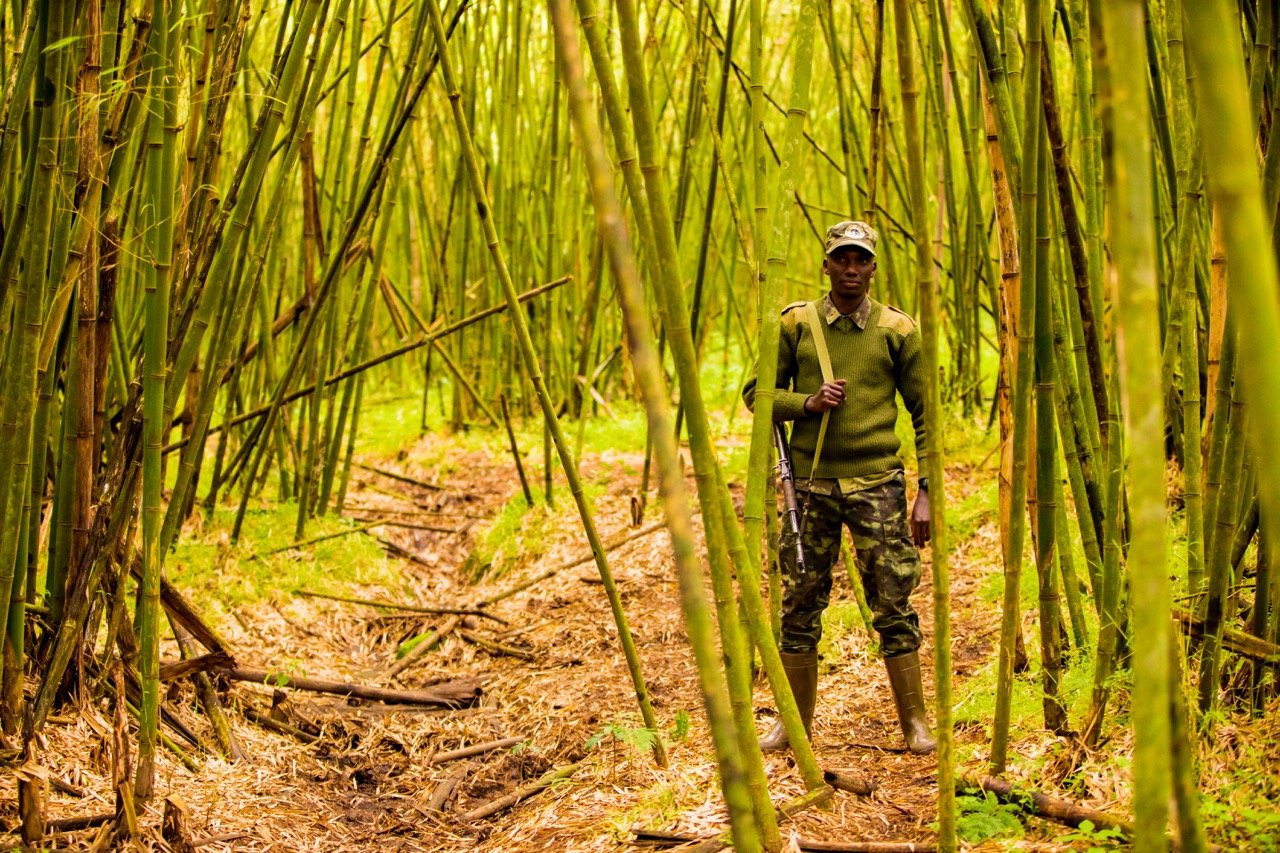 Guard at Bwindi Large.jpeg