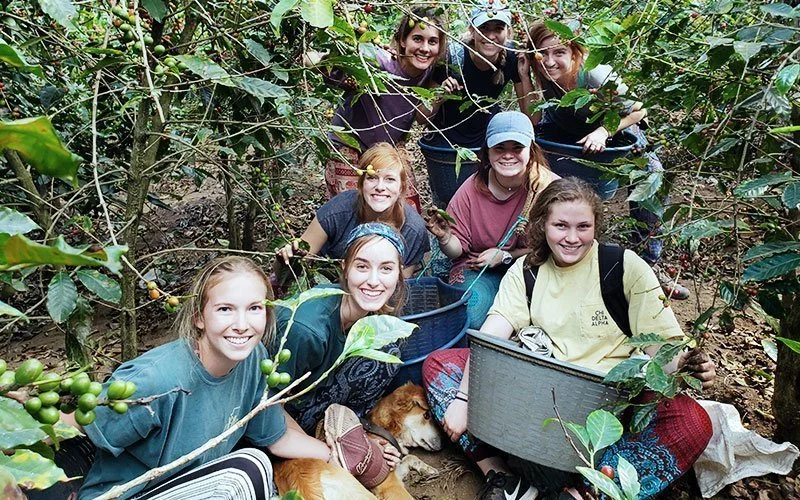Volunteer in Sustainable Farming in Guatemala