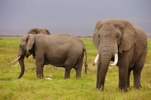Adventure in Southern Africa