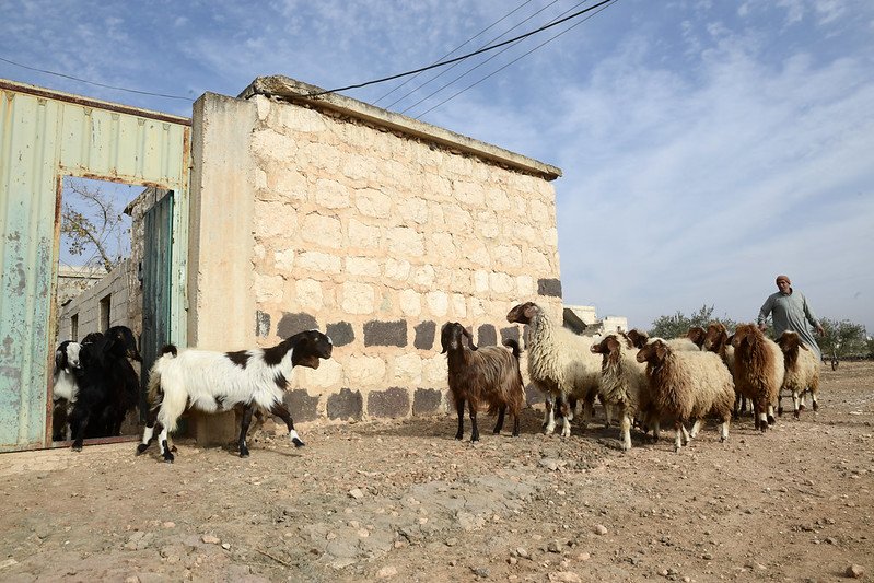 At The Frontlines of Climate Change: The Middle East