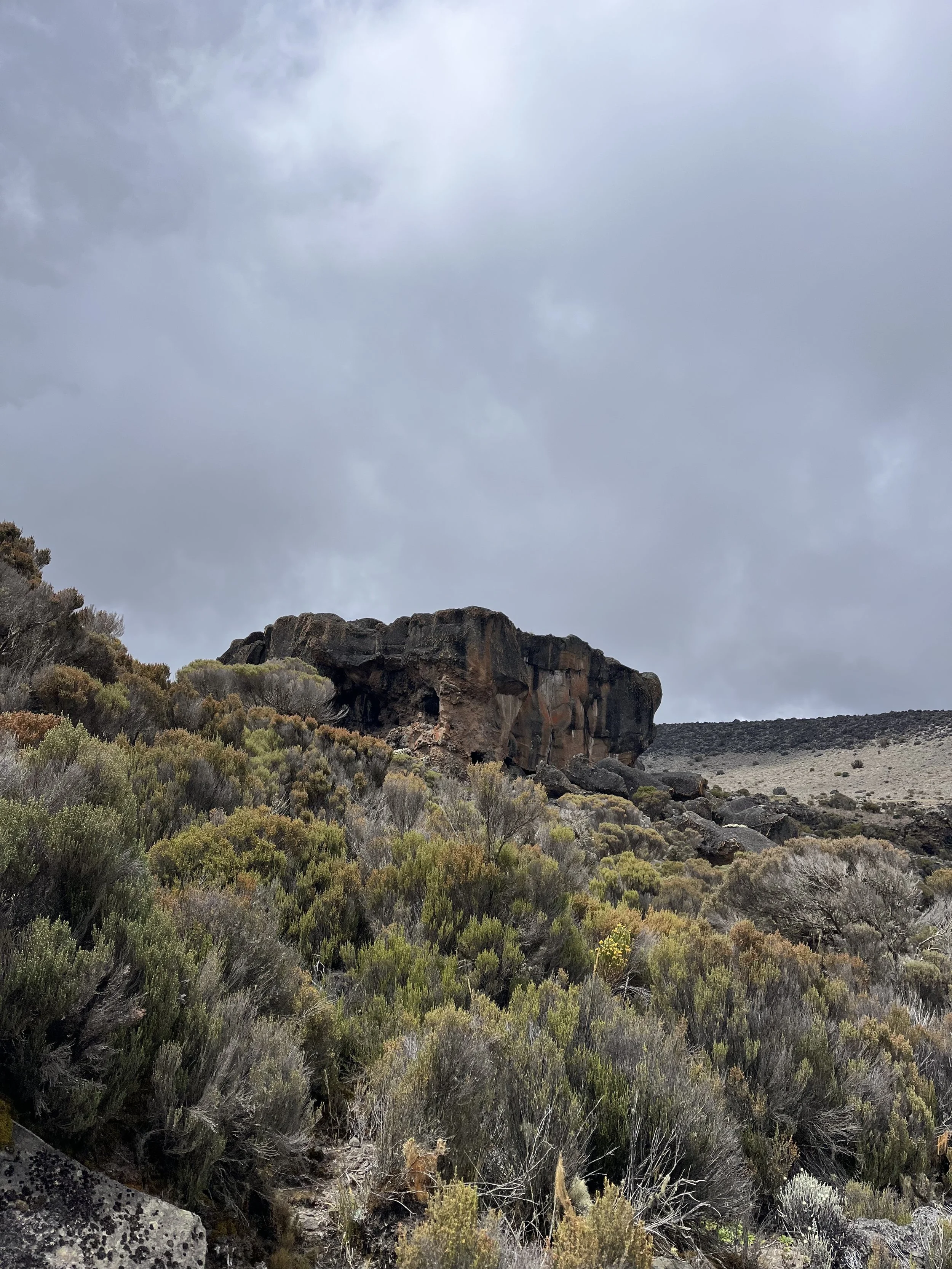 Heather.Moorland.on.the.Northern.Circuit. Isabelle.RingswaldEgan. .jpg