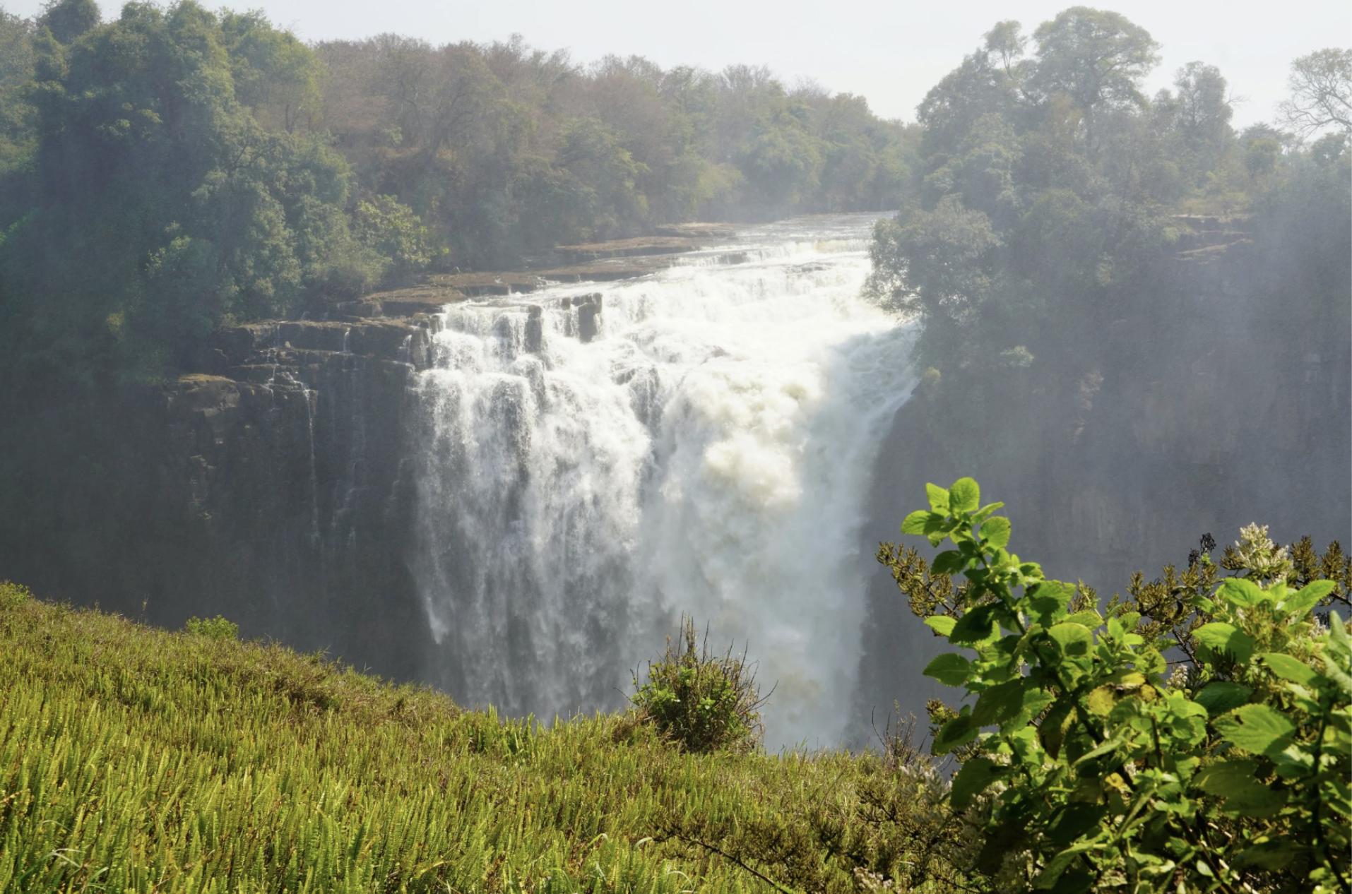 Volunteer at a Game Reserve at Victoria Falls