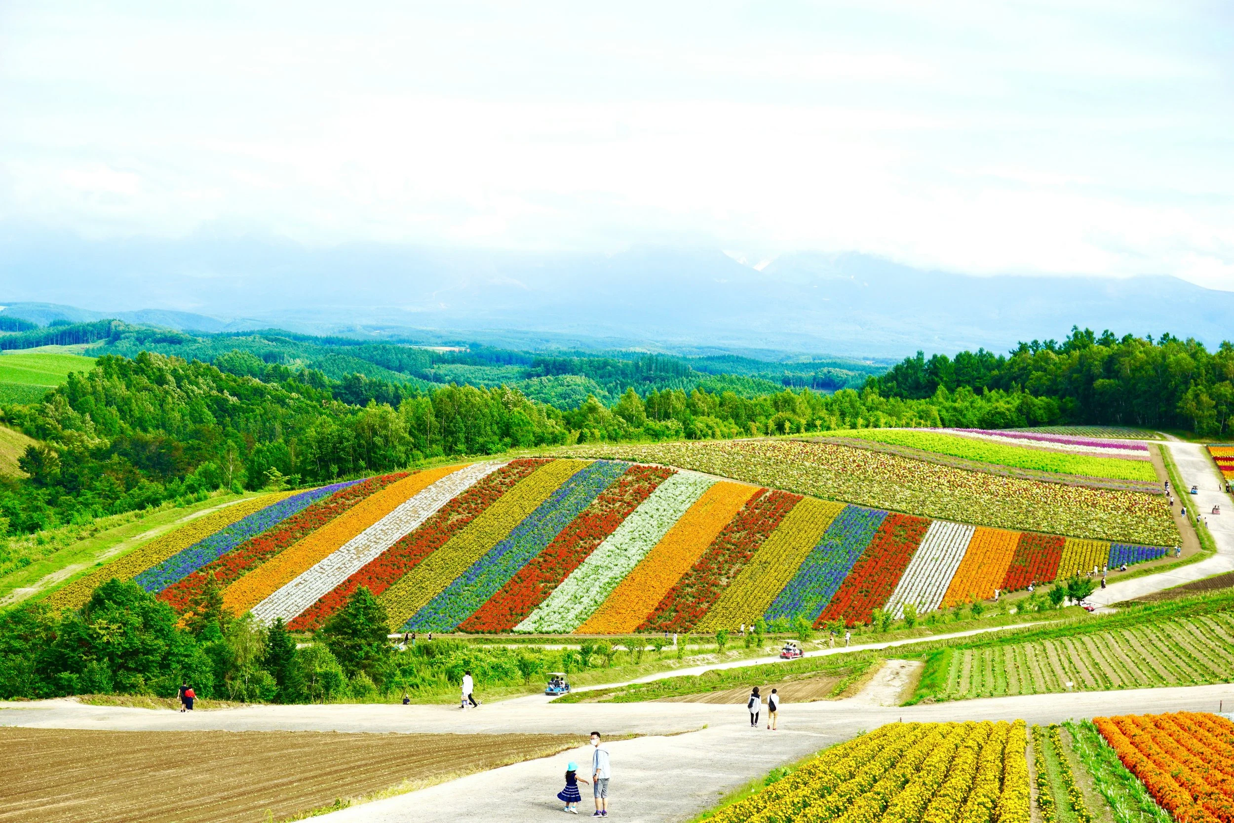 Hokkaido: Japan’s Natural Treasure Trove