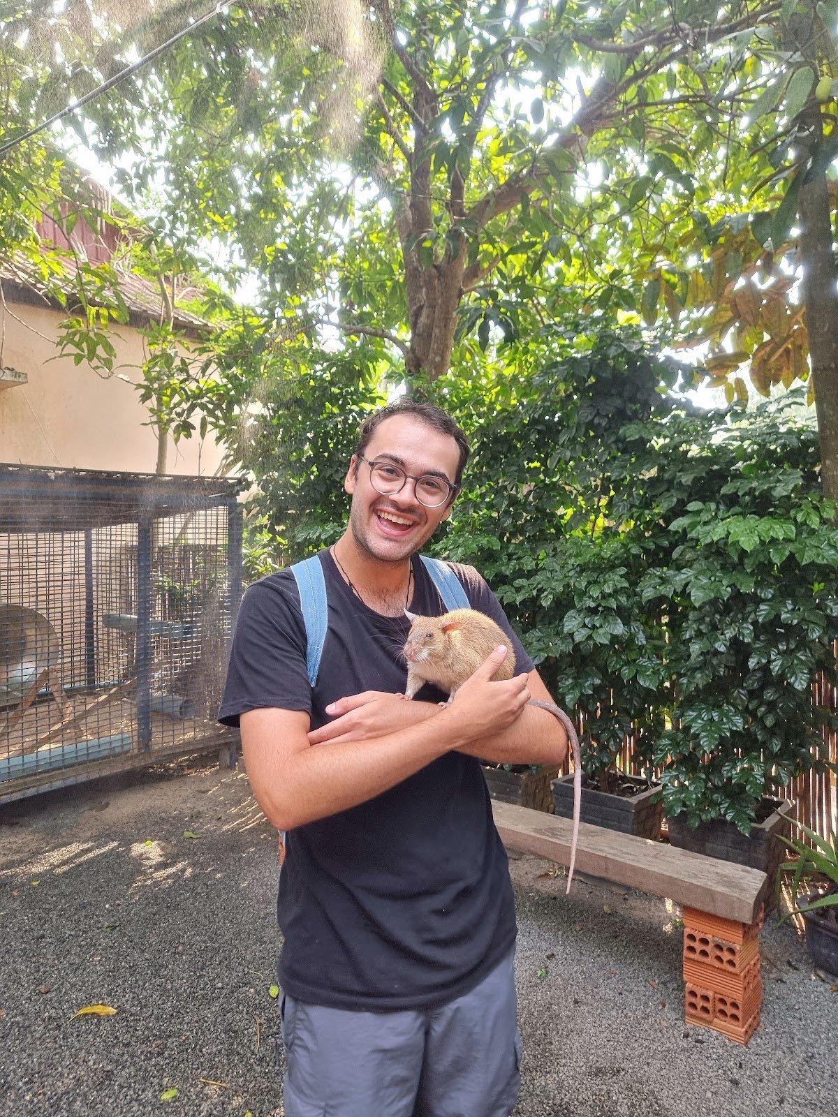 How Rats are Combating Cambodia’s Mine Crisis