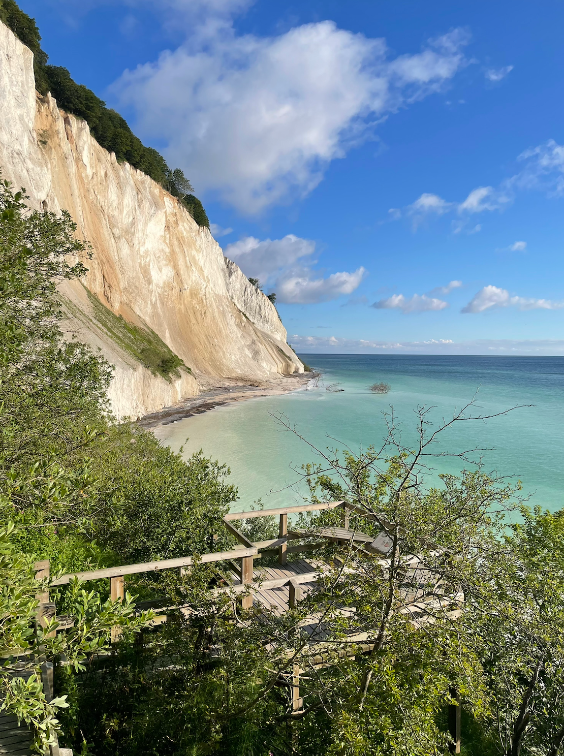 Denmark’s Mons Klint: The Landscape That “Looks After Itself”