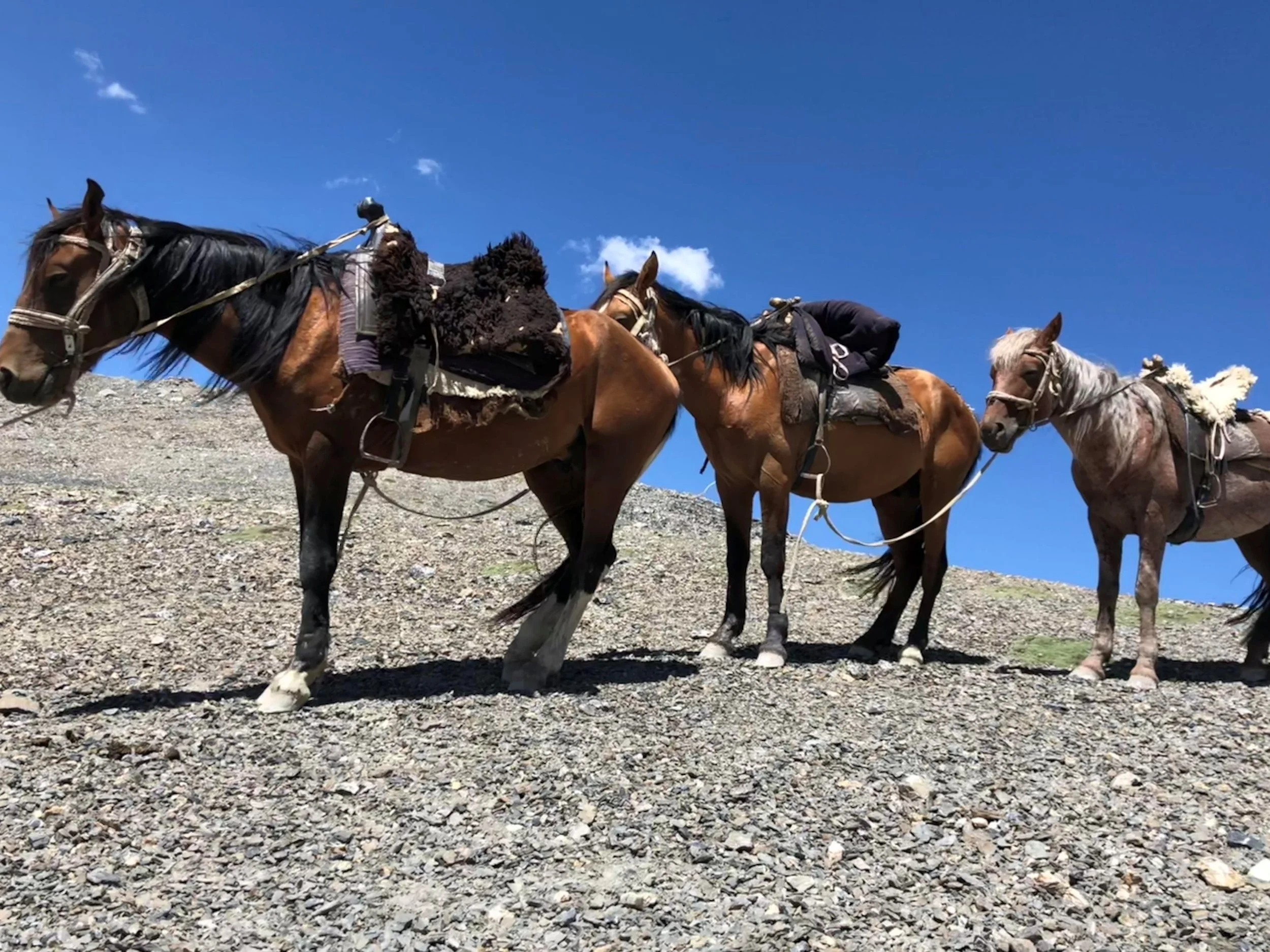 Horse Trekking along the Kyrgyz Silk Road