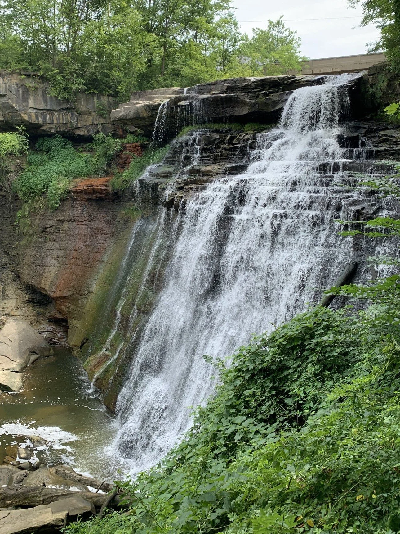 Waterfall in forest