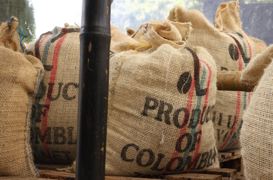 Eje Cafetero: Discovering Colombia’s Coffee Axis in 6 Towns