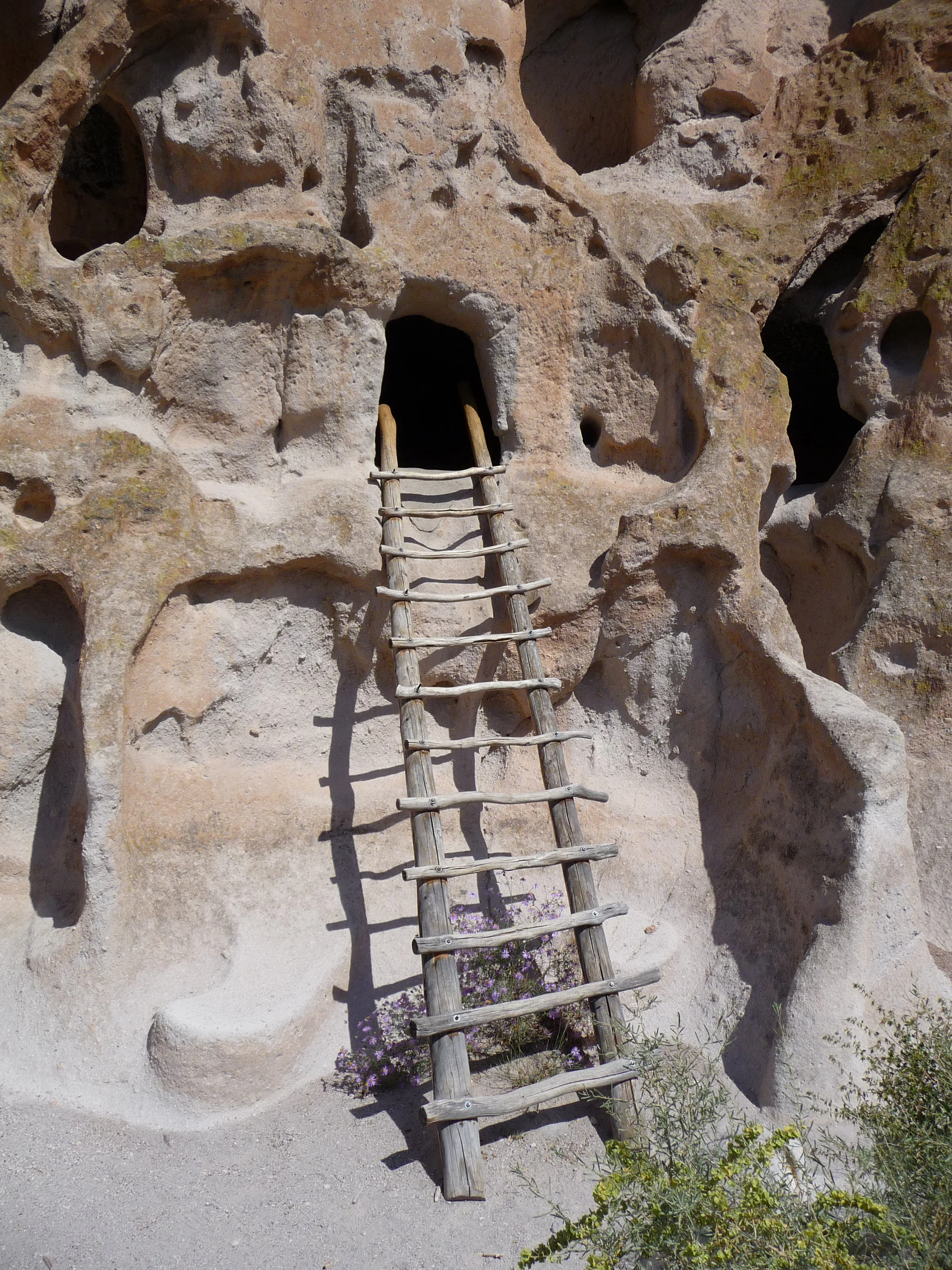 Ladder into cave