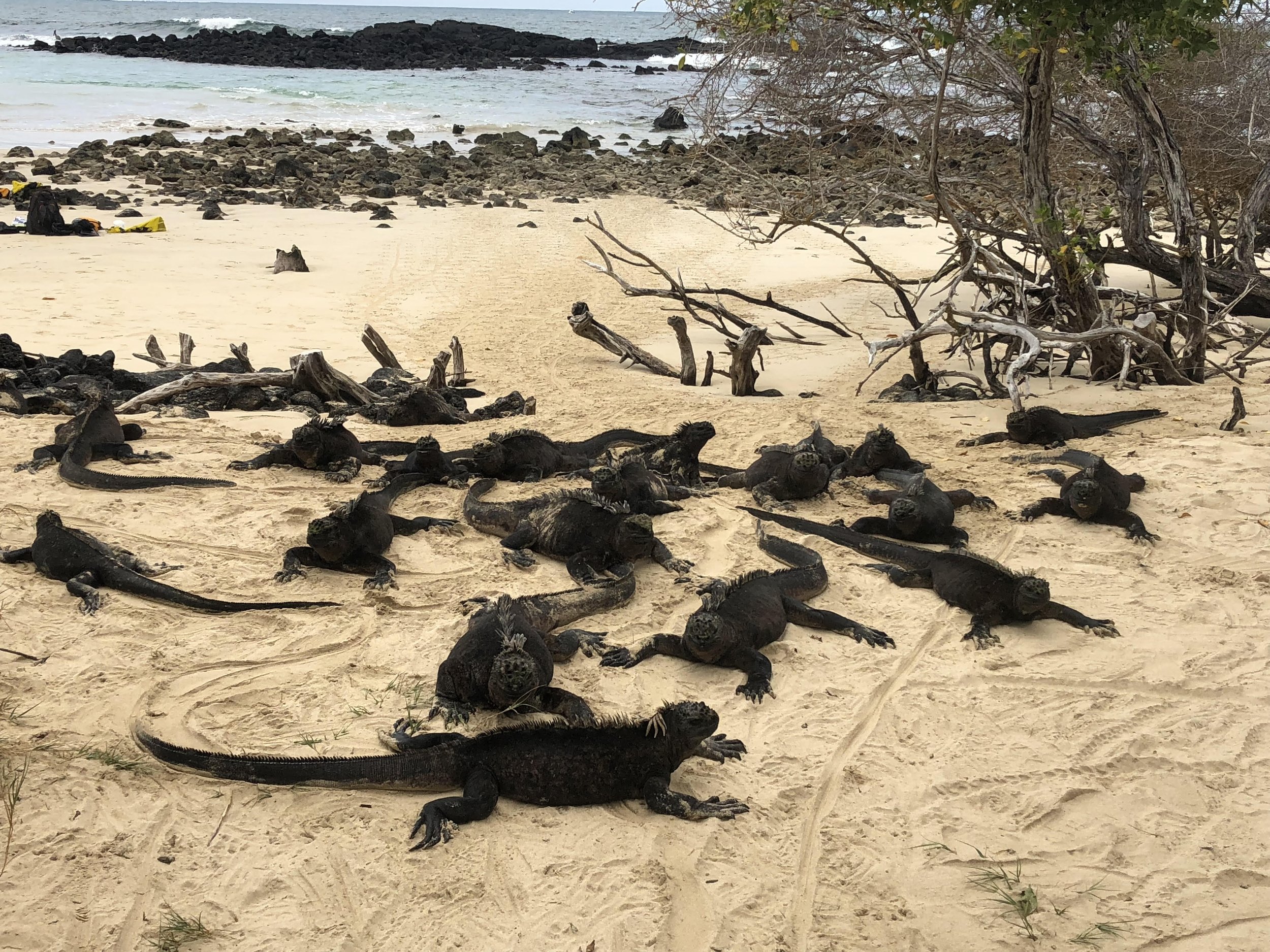 CATALYST 10 Places to See Before They Disappear