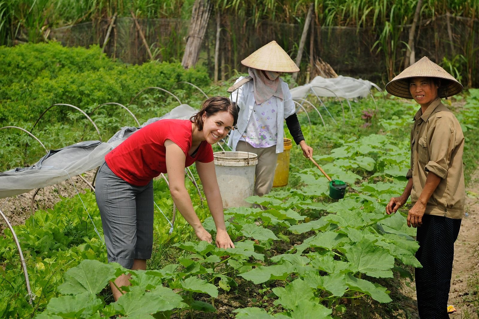 Farm Stays: Gen Z’s New Travel Frontier
