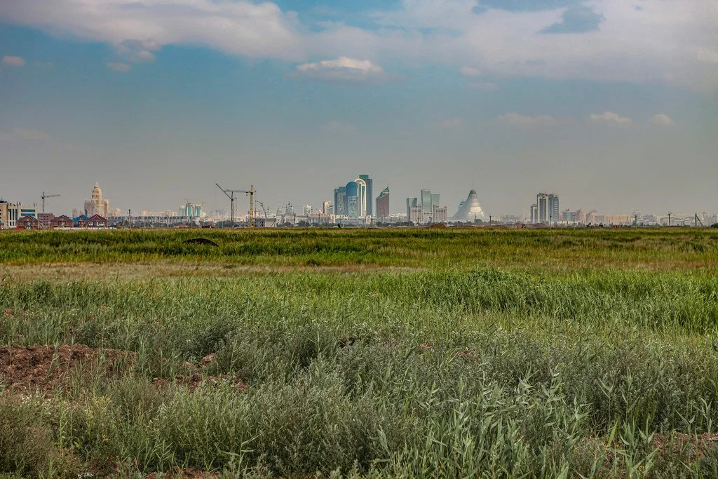Grassy field with city in the distance