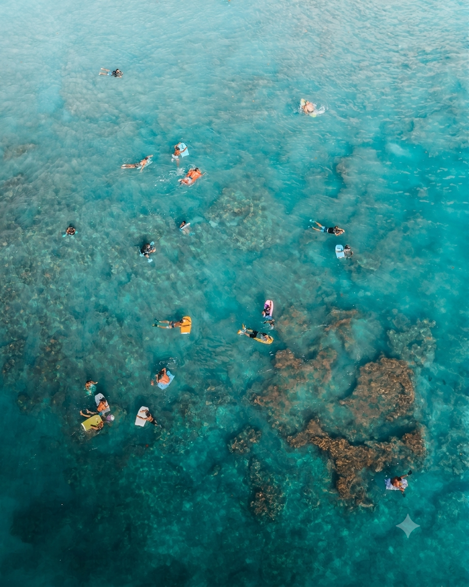 swimmers-coral-reef-300KB.png