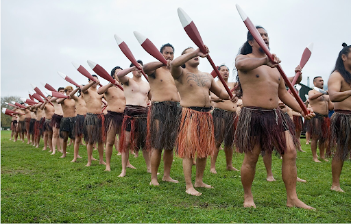 Indigenous Language Vitality in Aotearoa New Zealand Schools