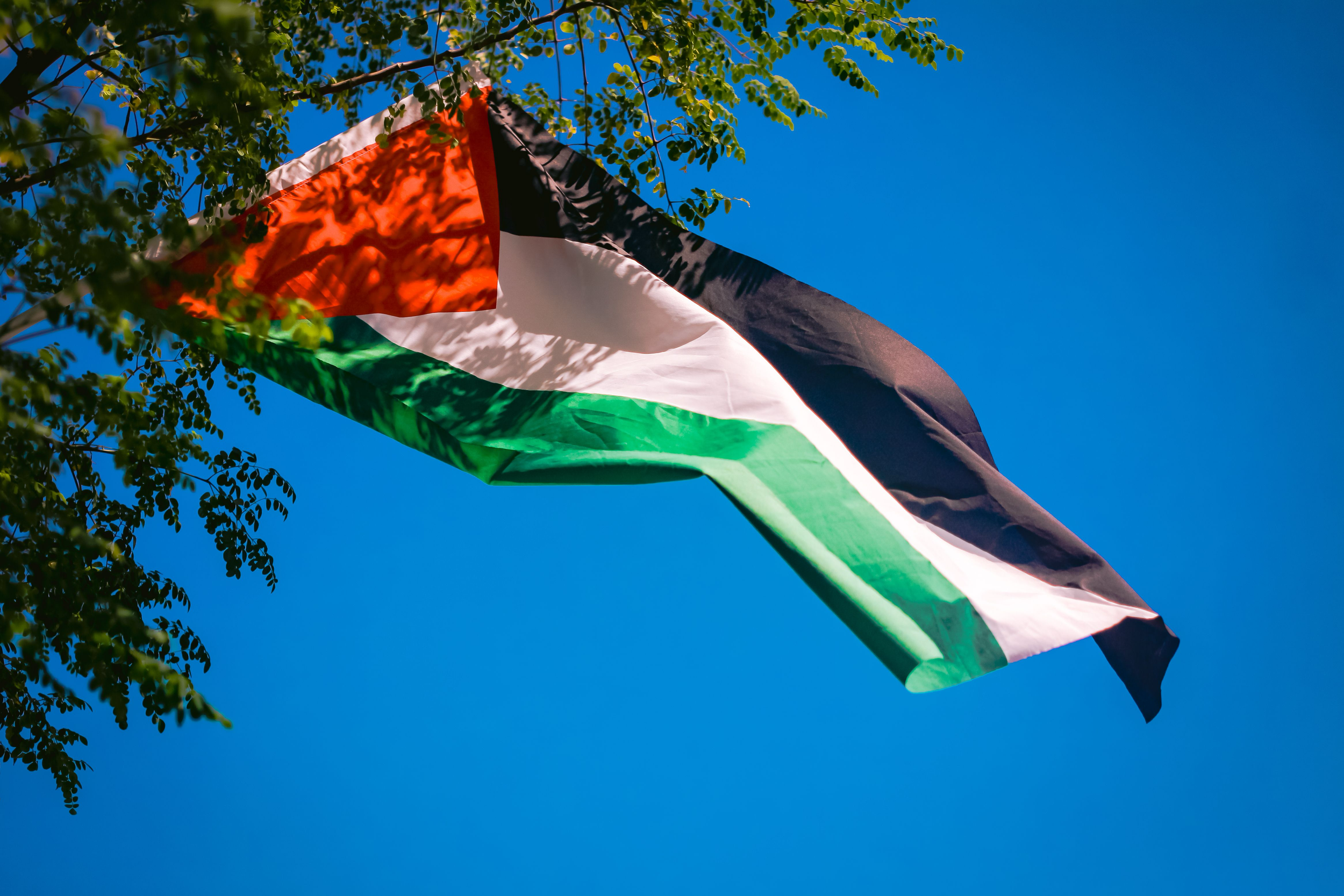 Palestinian flag waving in the air.