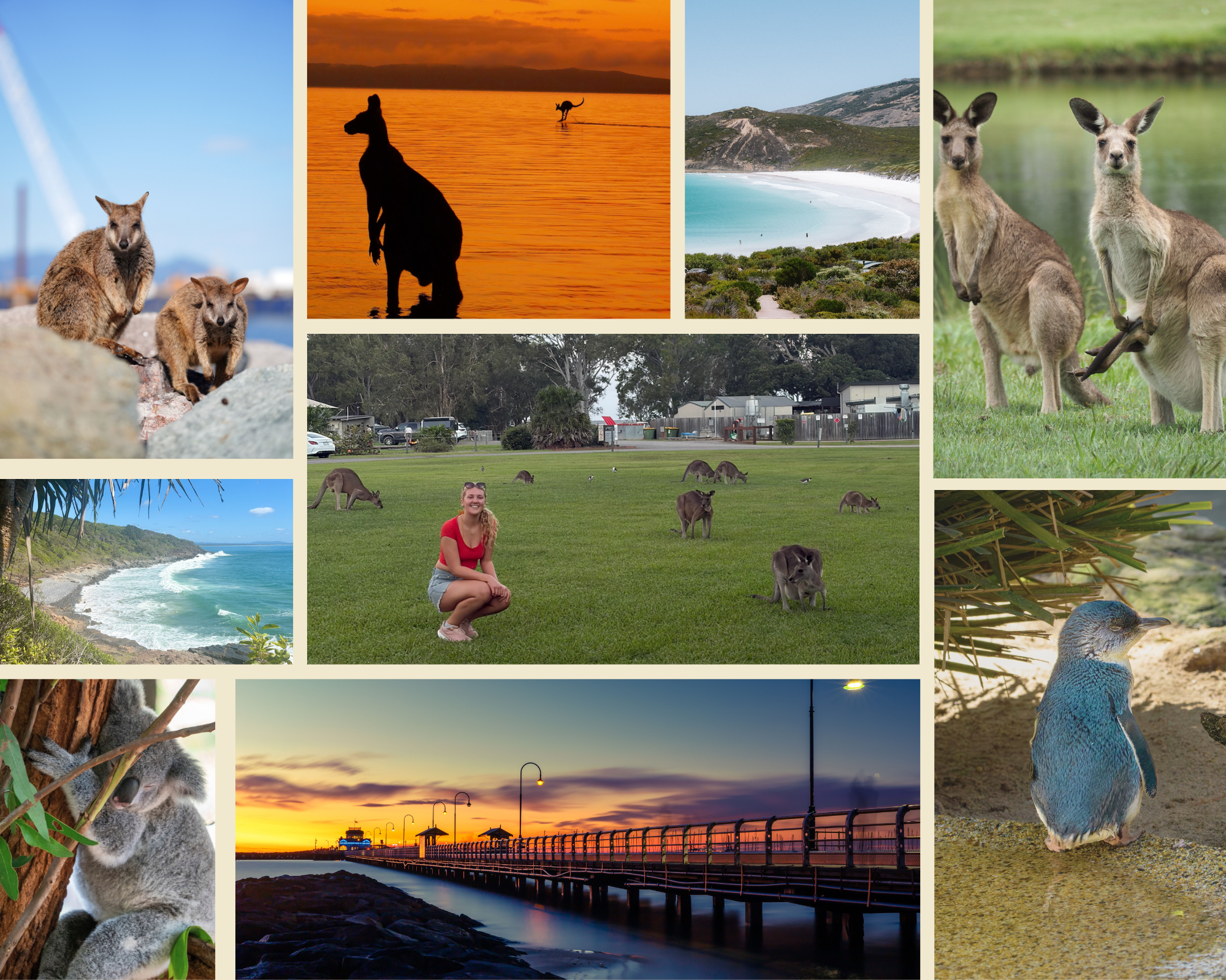 5 Australian Animals You Can See in the Wild (&amp; Where to Find Them)