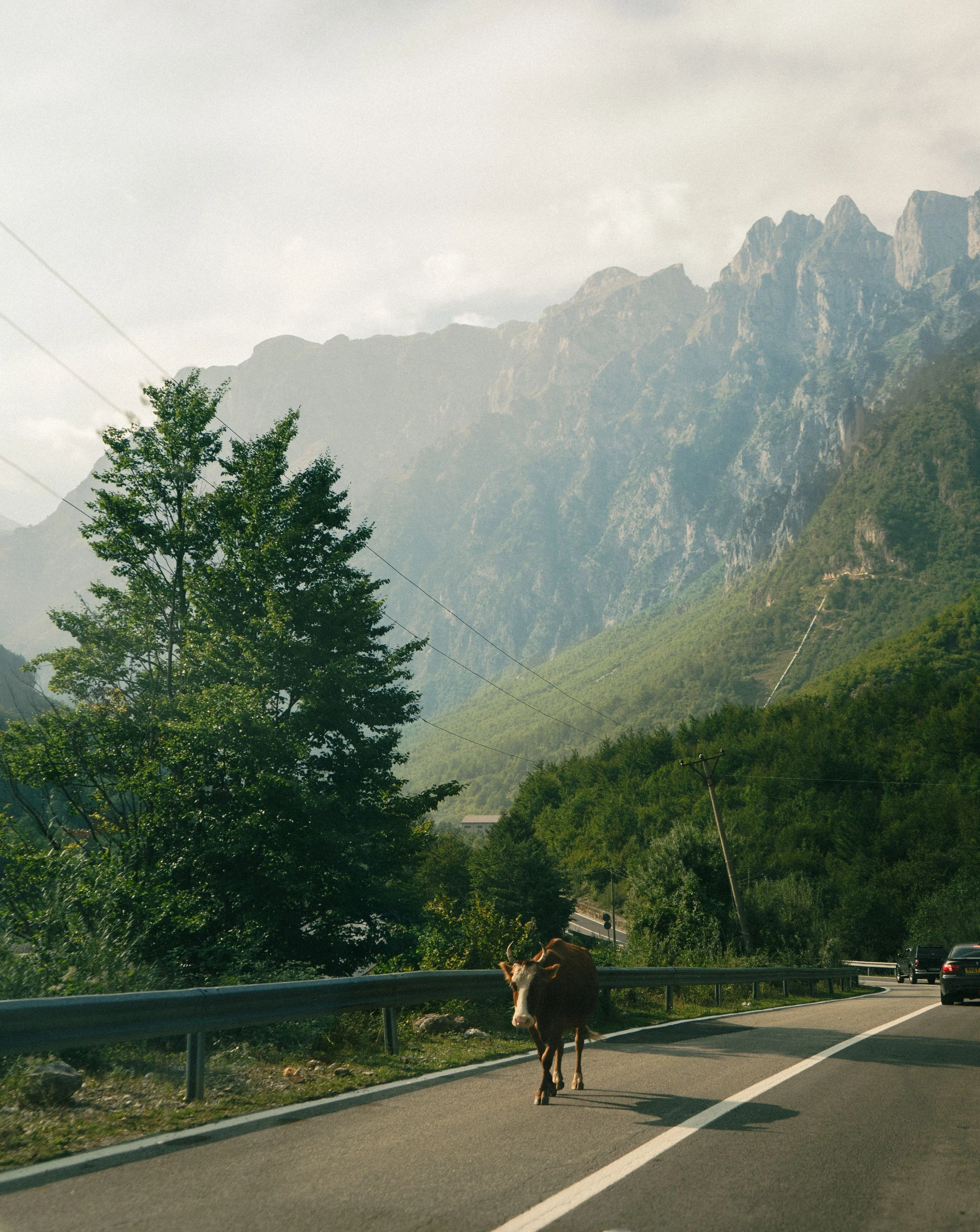 Beyond Albania's Beaches: Discover the Accursed Mountains