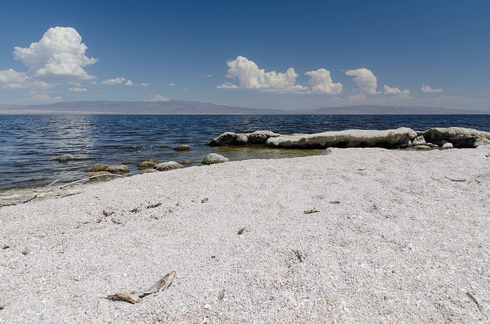 Lithium Mining in the Salton Sea