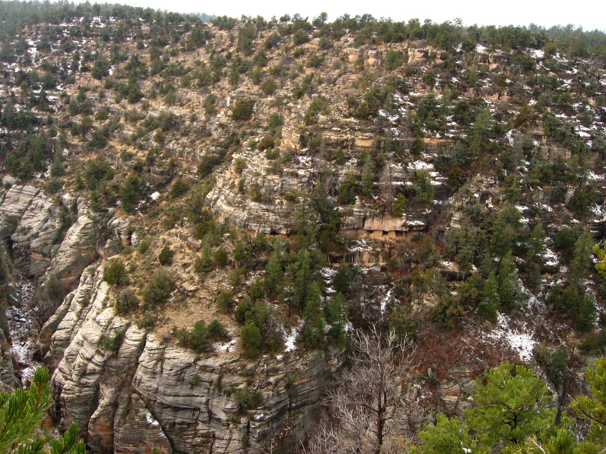Forest covered cliff sides