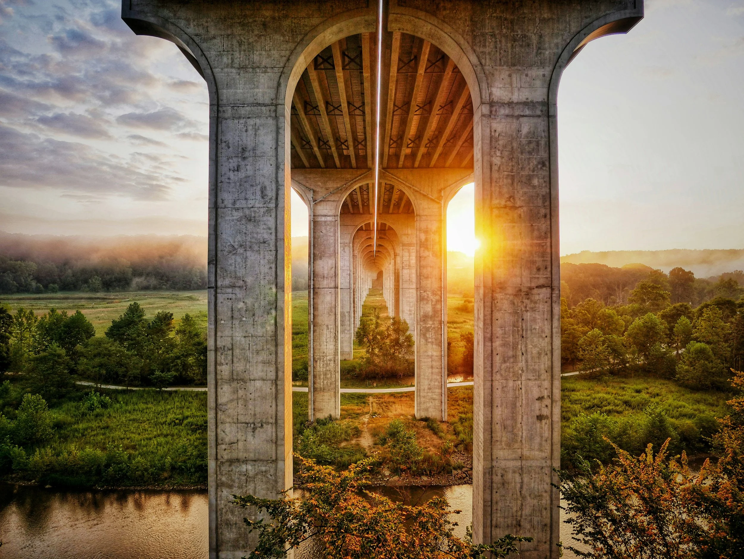 Bridge over water and forest