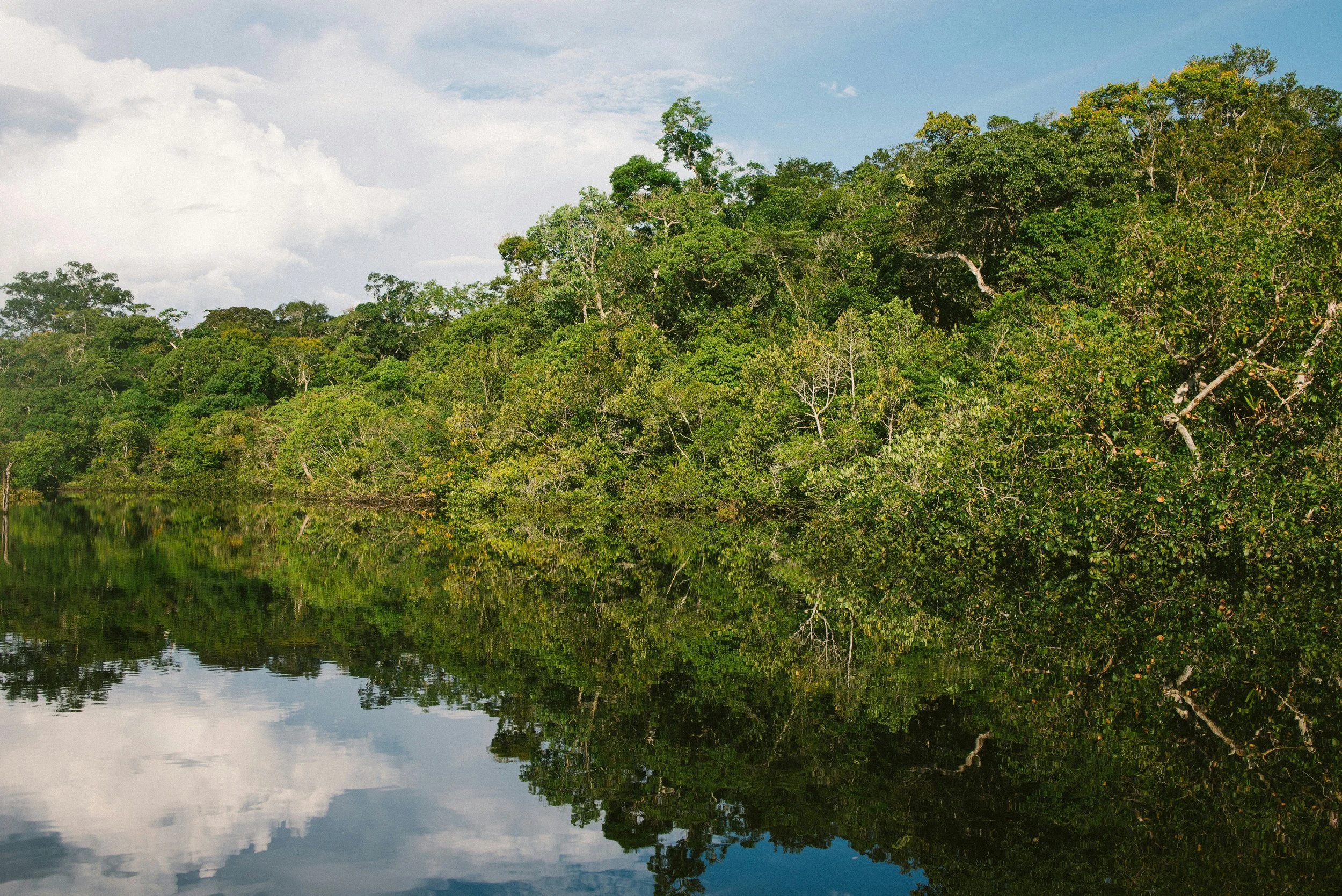 The Complex Sovereignty Claims Over the Amazon