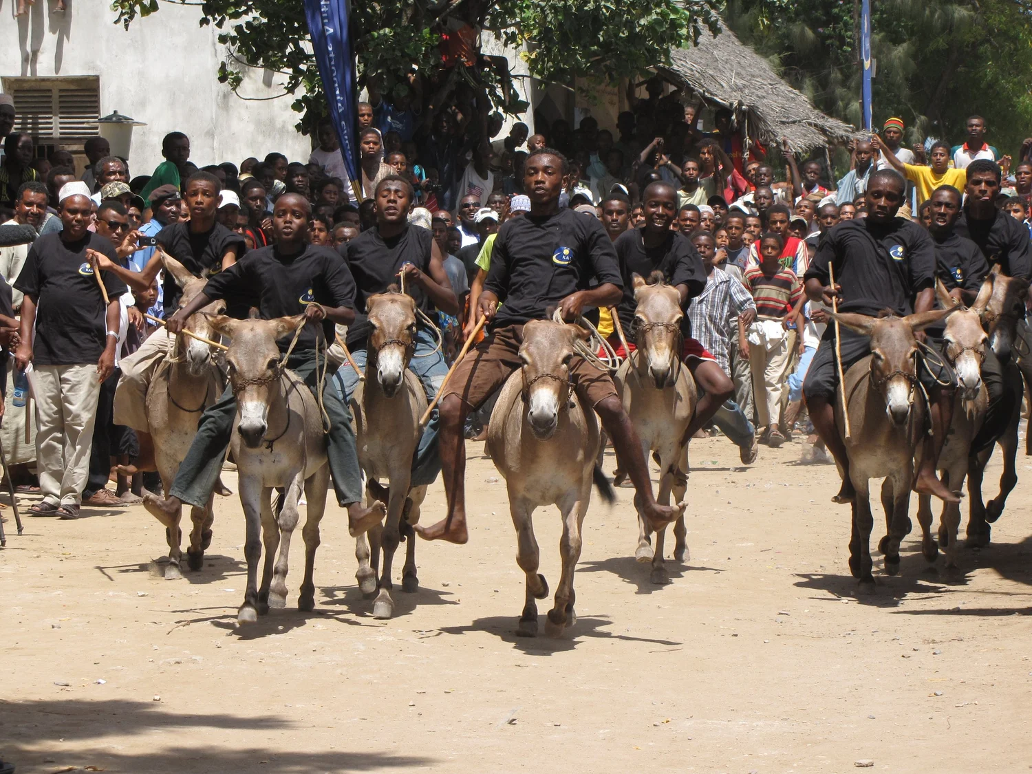 10 Unique Sports Around the World